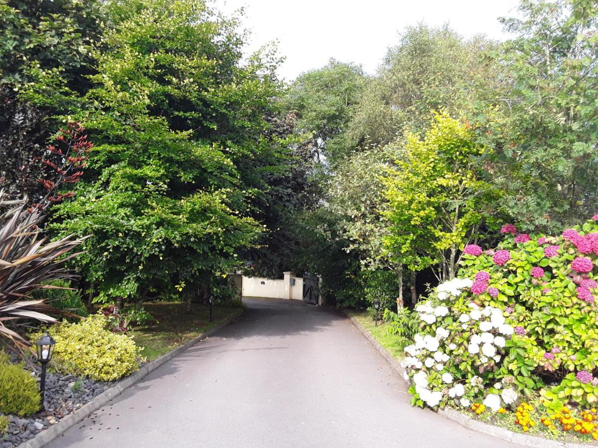 Ard Na Greine Bed & Breakfast Ballylickey ภายนอก รูปภาพ
