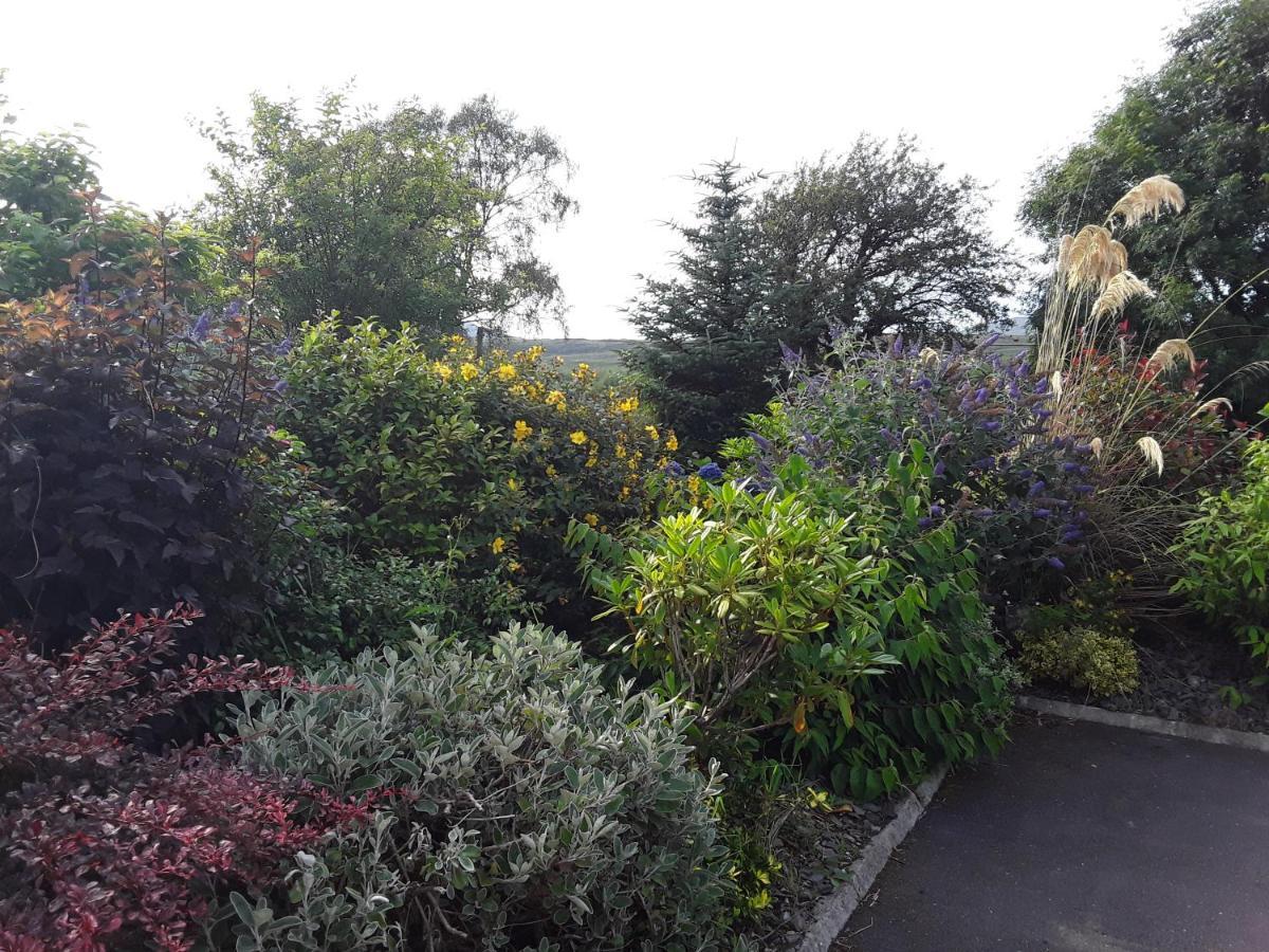 Ard Na Greine Bed & Breakfast Ballylickey ภายนอก รูปภาพ